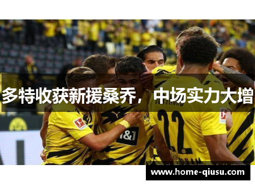 多特收获新援桑乔，中场实力大增