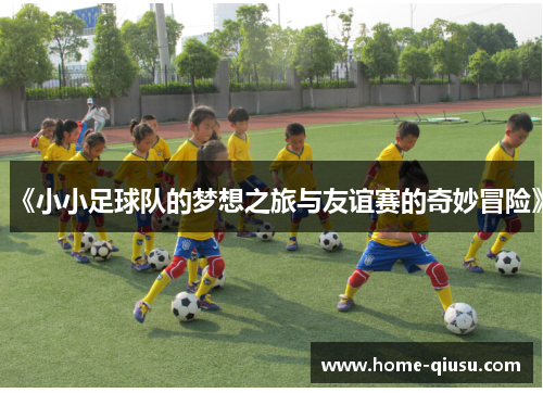 《小小足球队的梦想之旅与友谊赛的奇妙冒险》